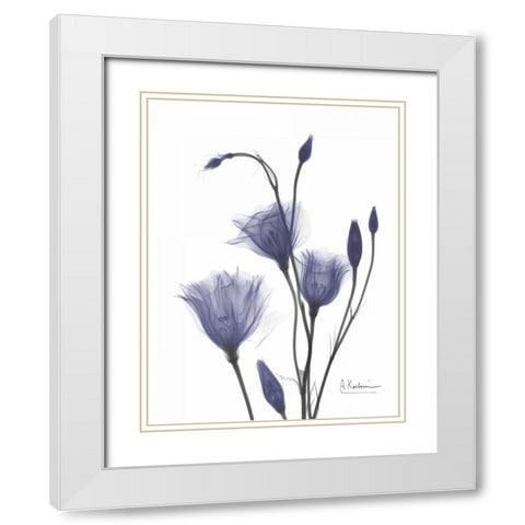 Gentian in Purple 2 White Modern Wood Framed Art Print with Double Matting by Koetsier, Albert