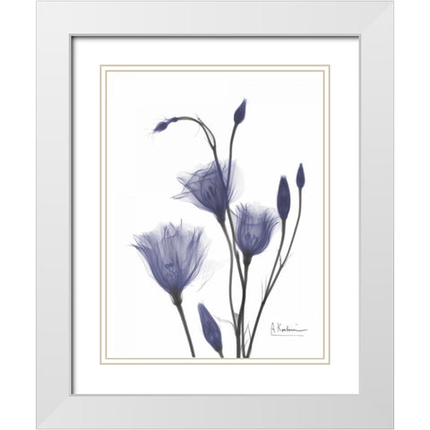 Gentian in Purple 2 White Modern Wood Framed Art Print with Double Matting by Koetsier, Albert