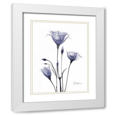 Gentian in Purple White Modern Wood Framed Art Print with Double Matting by Koetsier, Albert