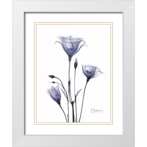 Gentian in Purple White Modern Wood Framed Art Print with Double Matting by Koetsier, Albert