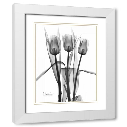 Triplet Tulips in BandW White Modern Wood Framed Art Print with Double Matting by Koetsier, Albert