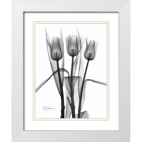 Triplet Tulips in BandW White Modern Wood Framed Art Print with Double Matting by Koetsier, Albert