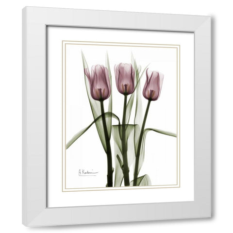 Triplet Tulips in Color White Modern Wood Framed Art Print with Double Matting by Koetsier, Albert