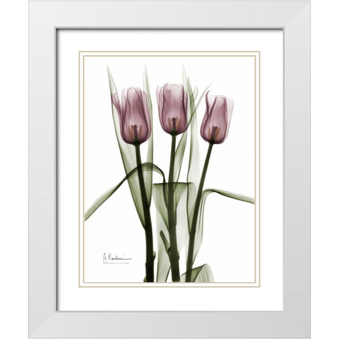 Triplet Tulips in Color White Modern Wood Framed Art Print with Double Matting by Koetsier, Albert