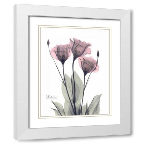 Three Gentian in Color White Modern Wood Framed Art Print with Double Matting by Koetsier, Albert