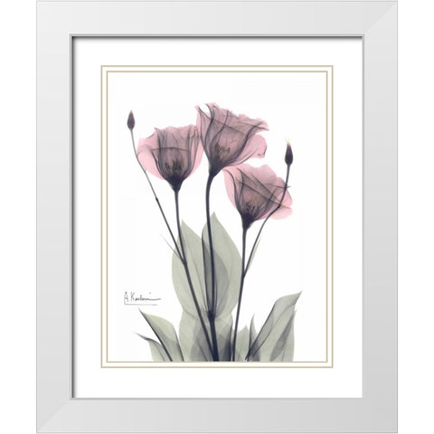 Three Gentian in Color White Modern Wood Framed Art Print with Double Matting by Koetsier, Albert