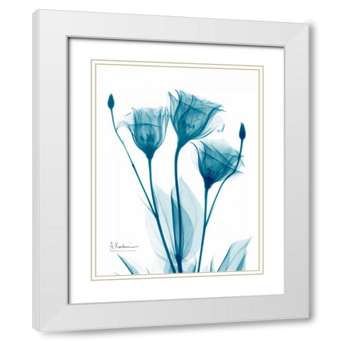 Three Gentian in Blue White Modern Wood Framed Art Print with Double Matting by Koetsier, Albert