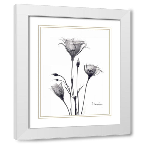 Bouquet of Gentian in BandW White Modern Wood Framed Art Print with Double Matting by Koetsier, Albert