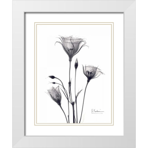 Bouquet of Gentian in BandW White Modern Wood Framed Art Print with Double Matting by Koetsier, Albert