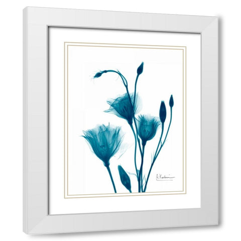 Bouquet of Gentian in Blue White Modern Wood Framed Art Print with Double Matting by Koetsier, Albert