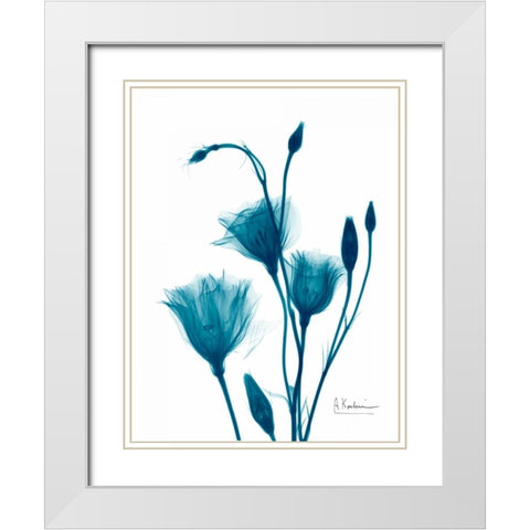 Bouquet of Gentian in Blue White Modern Wood Framed Art Print with Double Matting by Koetsier, Albert