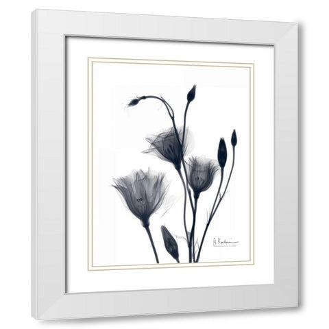 Bouquet of Gentian in BandW2 White Modern Wood Framed Art Print with Double Matting by Koetsier, Albert