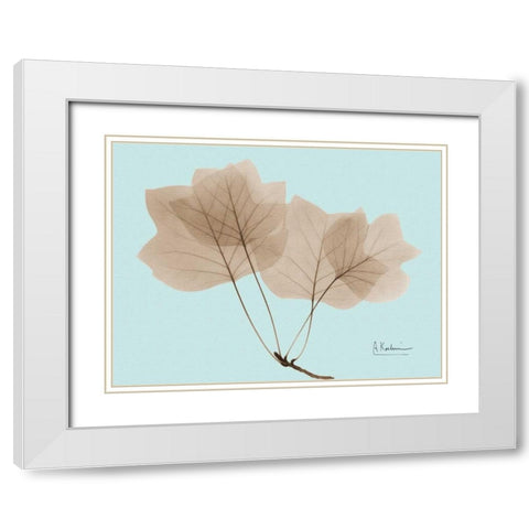 Tulip Tree in Brown on Blue White Modern Wood Framed Art Print with Double Matting by Koetsier, Albert