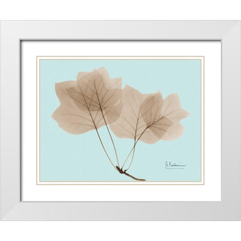 Tulip Tree in Brown on Blue White Modern Wood Framed Art Print with Double Matting by Koetsier, Albert