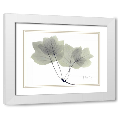 Tulip Tree in Green White Modern Wood Framed Art Print with Double Matting by Koetsier, Albert
