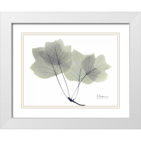 Tulip Tree in Green White Modern Wood Framed Art Print with Double Matting by Koetsier, Albert