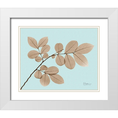 Myrtle Tree in Brown on Blue White Modern Wood Framed Art Print with Double Matting by Koetsier, Albert