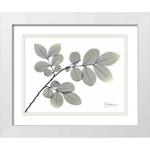 Myrtle Tree in Green White Modern Wood Framed Art Print with Double Matting by Koetsier, Albert