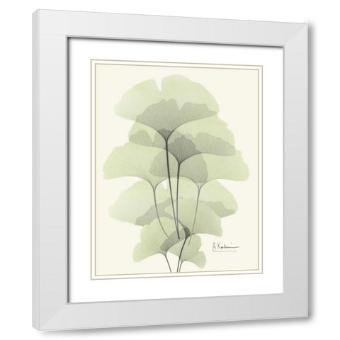 Gingko Leaves in Green 2 White Modern Wood Framed Art Print with Double Matting by Koetsier, Albert