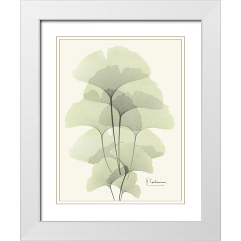 Gingko Leaves in Green 2 White Modern Wood Framed Art Print with Double Matting by Koetsier, Albert