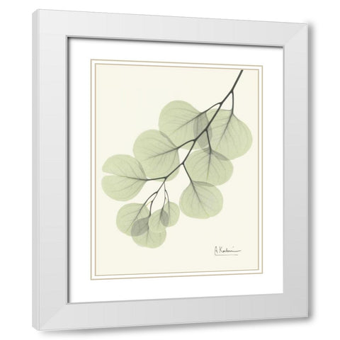 Eucalyptus Leaves in Green White Modern Wood Framed Art Print with Double Matting by Koetsier, Albert