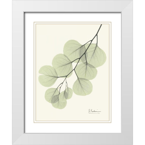 Eucalyptus Leaves in Green White Modern Wood Framed Art Print with Double Matting by Koetsier, Albert