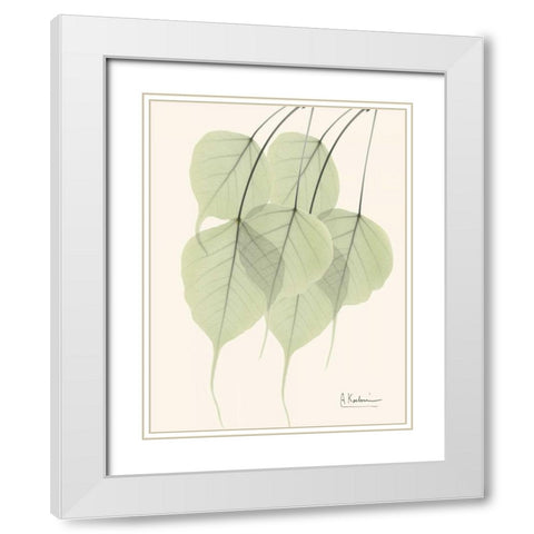 Bo Tree Leaves in Green White Modern Wood Framed Art Print with Double Matting by Koetsier, Albert