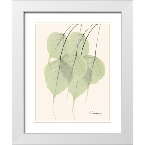 Bo Tree Leaves in Green White Modern Wood Framed Art Print with Double Matting by Koetsier, Albert