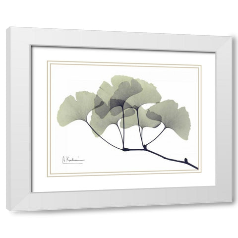 Gingko Leaves in Green White Modern Wood Framed Art Print with Double Matting by Koetsier, Albert