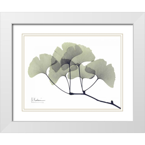 Gingko Leaves in Green White Modern Wood Framed Art Print with Double Matting by Koetsier, Albert