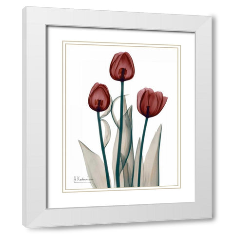Early Tulips in Red White Modern Wood Framed Art Print with Double Matting by Koetsier, Albert
