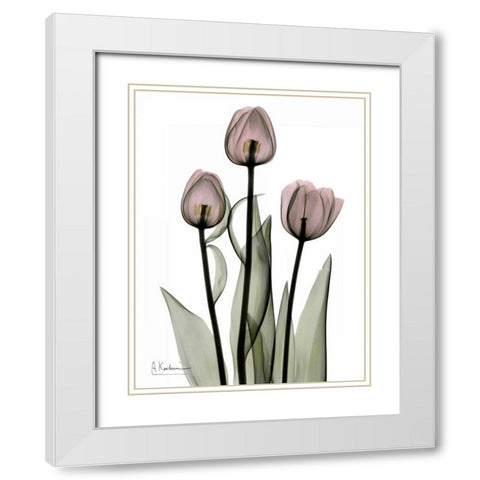 Early Tulips in Pink White Modern Wood Framed Art Print with Double Matting by Koetsier, Albert