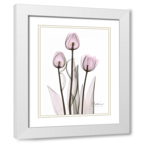 Early Tulips in Lavender White Modern Wood Framed Art Print with Double Matting by Koetsier, Albert