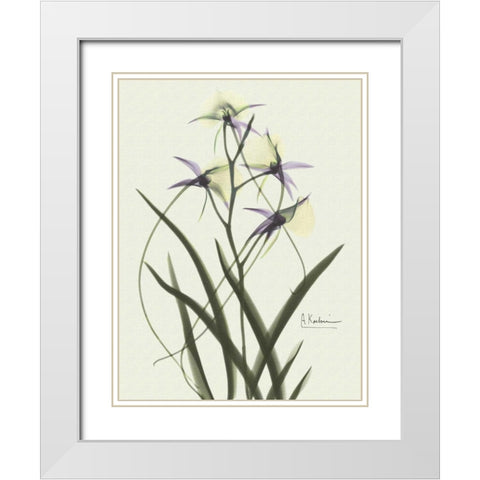 Orchids a Plenty in Purple on Beige White Modern Wood Framed Art Print with Double Matting by Koetsier, Albert