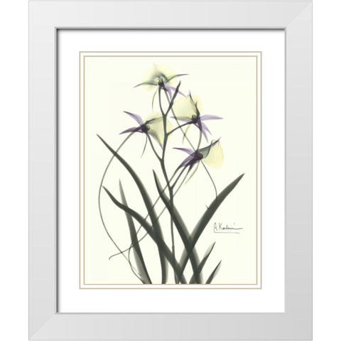 Orchids a Plenty in Purple and Yellow White Modern Wood Framed Art Print with Double Matting by Koetsier, Albert