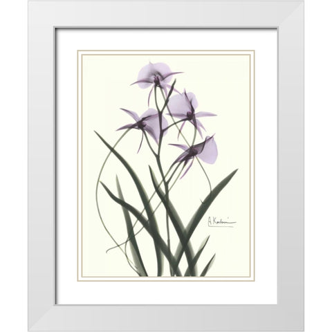 Orchids a Plenty in Purple White Modern Wood Framed Art Print with Double Matting by Koetsier, Albert