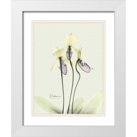 Lovely Orchids 3 White Modern Wood Framed Art Print with Double Matting by Koetsier, Albert