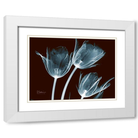 Tulips Blue on Red White Modern Wood Framed Art Print with Double Matting by Koetsier, Albert
