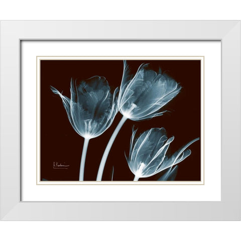 Tulips Blue on Red White Modern Wood Framed Art Print with Double Matting by Koetsier, Albert