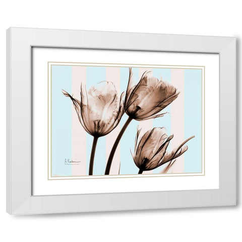 Tulips Brown on Blue White Modern Wood Framed Art Print with Double Matting by Koetsier, Albert