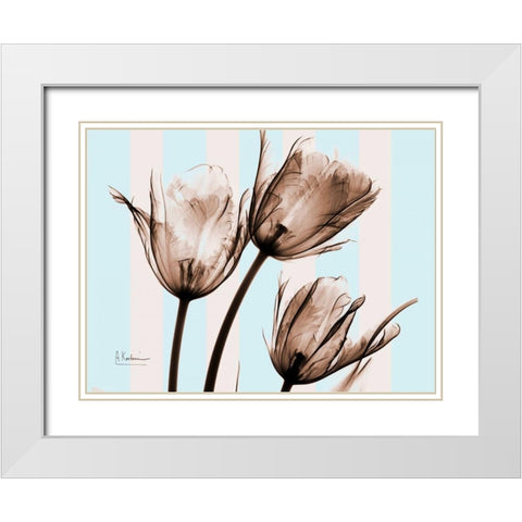 Tulips Brown on Blue White Modern Wood Framed Art Print with Double Matting by Koetsier, Albert