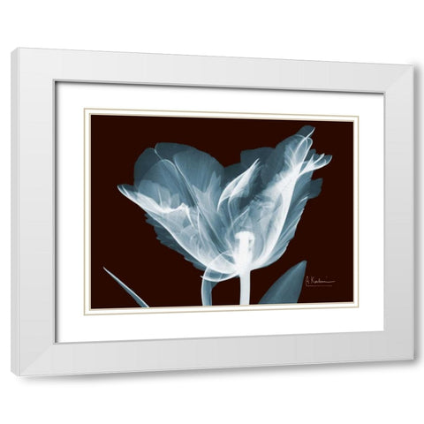 Single Tulip Blue on Red White Modern Wood Framed Art Print with Double Matting by Koetsier, Albert