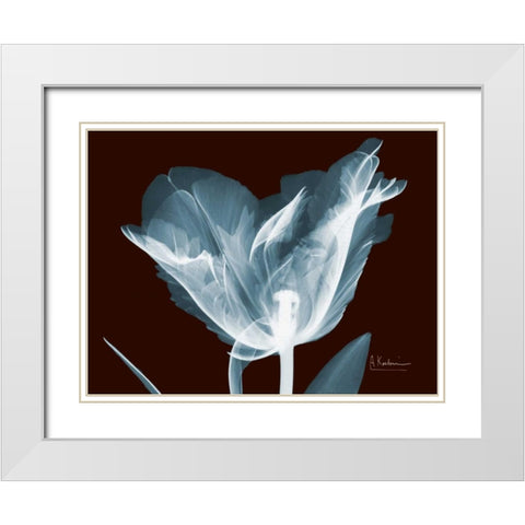 Single Tulip Blue on Red White Modern Wood Framed Art Print with Double Matting by Koetsier, Albert
