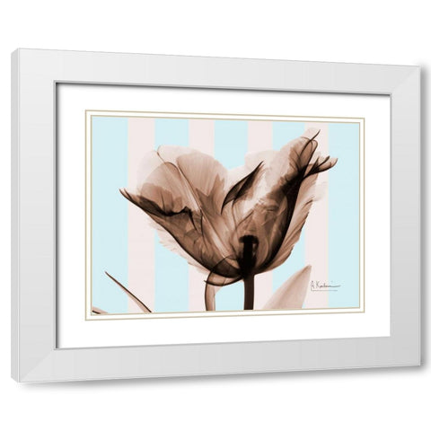 Single Tulip Brown on Blue White Modern Wood Framed Art Print with Double Matting by Koetsier, Albert