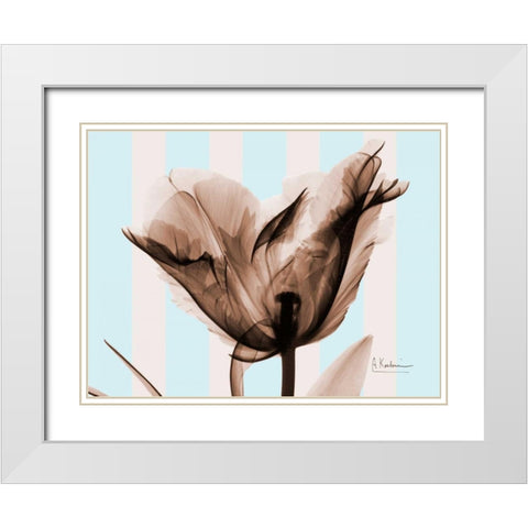 Single Tulip Brown on Blue White Modern Wood Framed Art Print with Double Matting by Koetsier, Albert