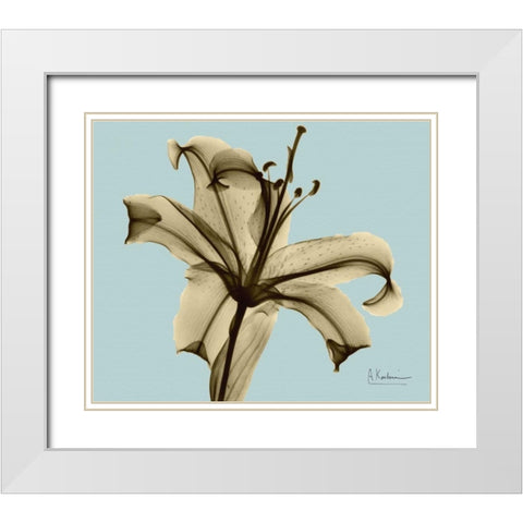 Single Lily Brown on Blue White Modern Wood Framed Art Print with Double Matting by Koetsier, Albert