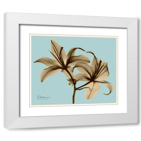 Double Lilies Brown on Blue White Modern Wood Framed Art Print with Double Matting by Koetsier, Albert