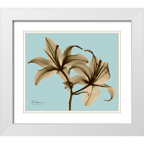 Double Lilies Brown on Blue White Modern Wood Framed Art Print with Double Matting by Koetsier, Albert