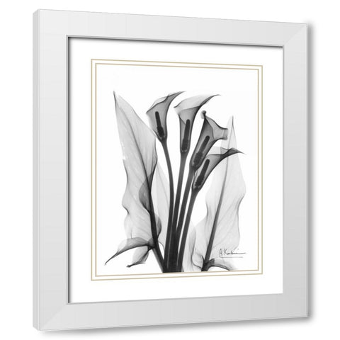 Calla Lily Quad in BandW White Modern Wood Framed Art Print with Double Matting by Koetsier, Albert