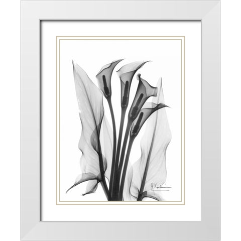 Calla Lily Quad in BandW White Modern Wood Framed Art Print with Double Matting by Koetsier, Albert